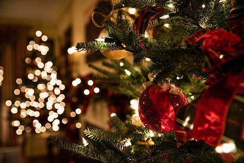 christmas tree green Christmas tree ornament